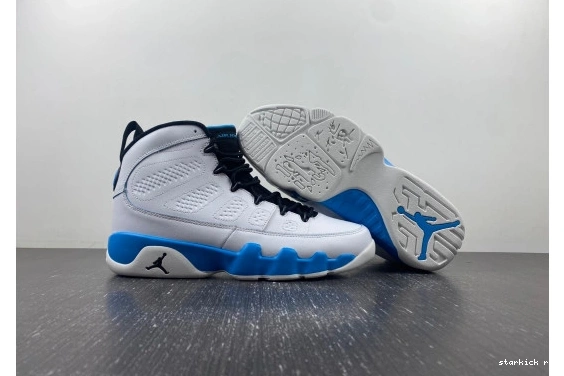  302370-103 Jordan  302370-103 9 Powder Retro 1227